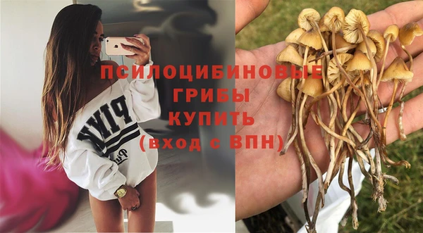 бошки Баксан