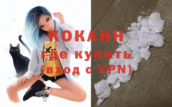 стаф Балахна