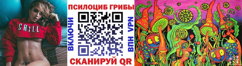 Псилоцибиновые грибы Psilocybe  мега маркетплейс  Фрязино  наркошоп 